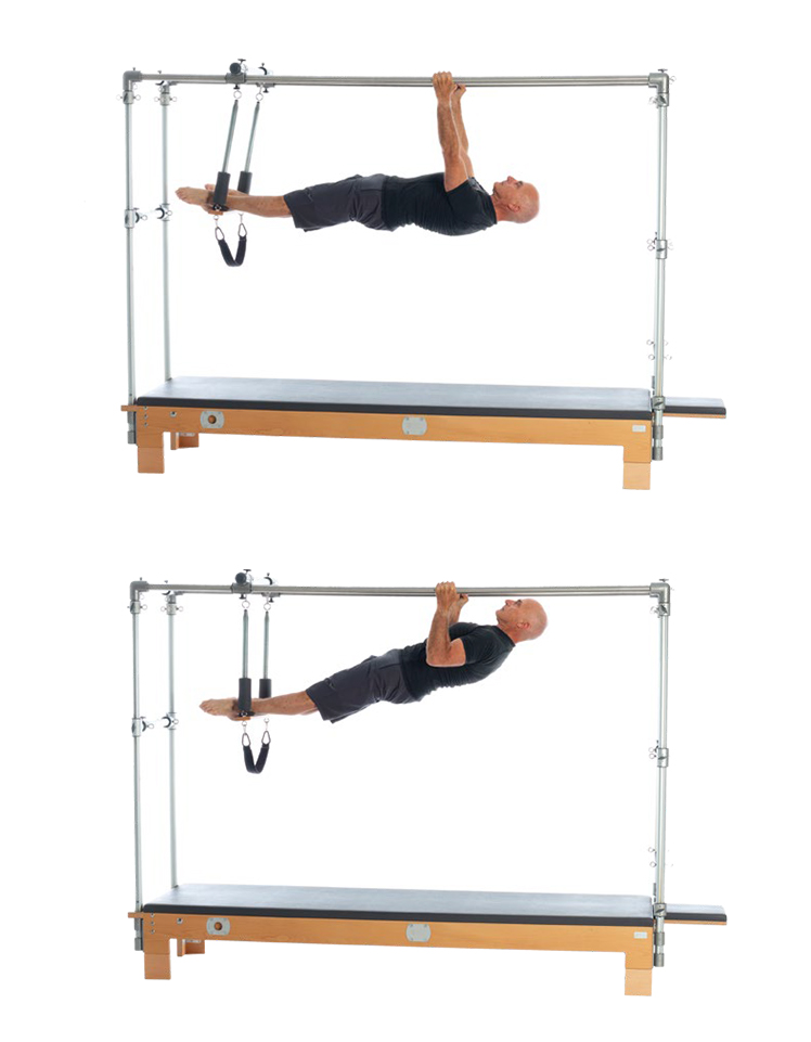 HANGING PLANK WITH PULL UP Taught in BASI Master ll Program