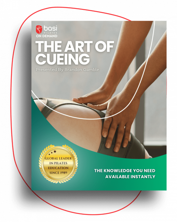 Book cover of The Art of Cueing